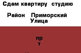 Сдам квартиру- студию › Район ­ Приморский › Улица ­ пр-т. Королёва  › Дом ­ 7 › Цена ­ 2 100 - Ленинградская обл., Санкт-Петербург г. Недвижимость » Квартиры аренда посуточно   . Ленинградская обл.